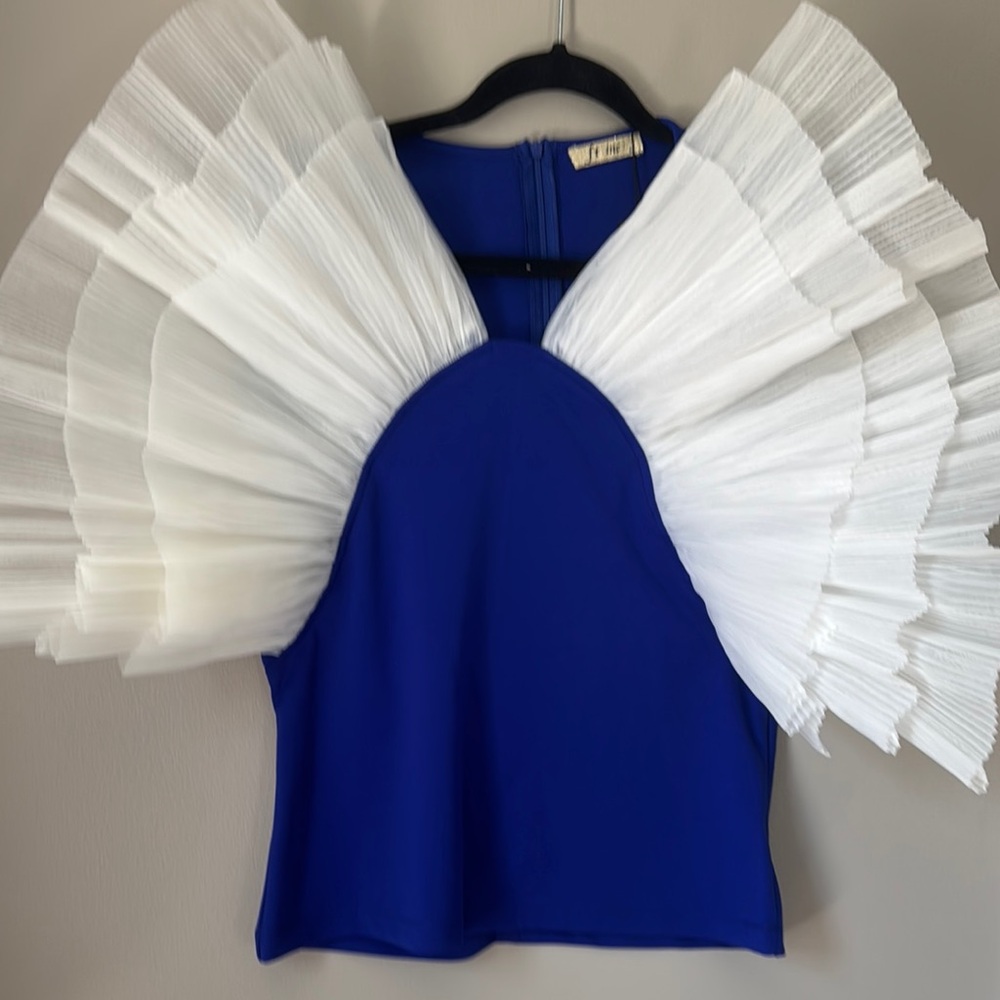 Vibrant Blue Top with Dramatic White Pleated Sleeves